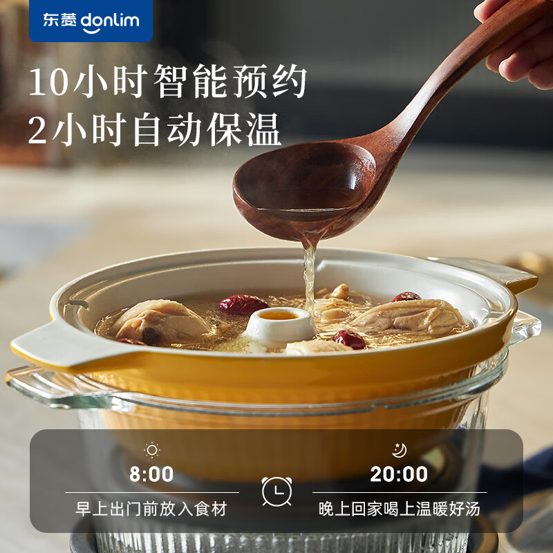 东菱DL-9009电炖锅图片