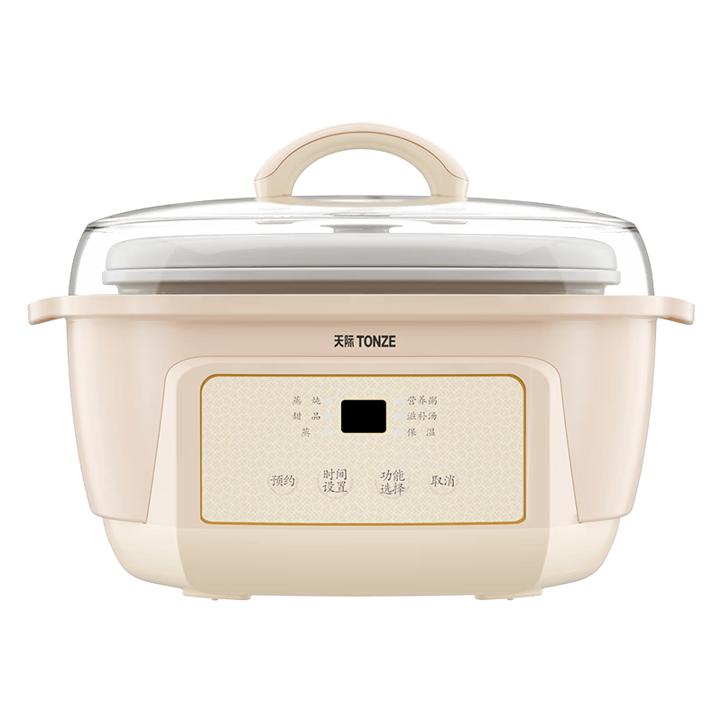 天际DGGD23A181BBW电炖锅