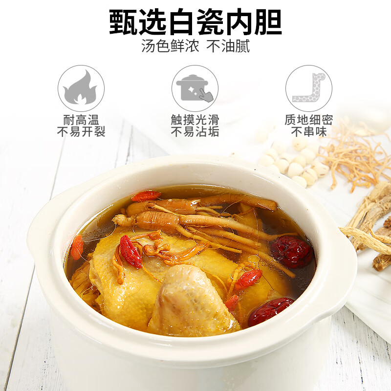 LOTOR徕多D1电炖锅图片