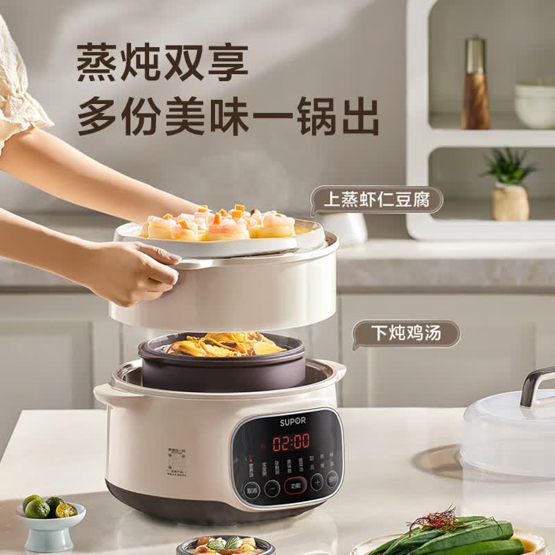 苏泊尔DZ25YC895电炖锅图片