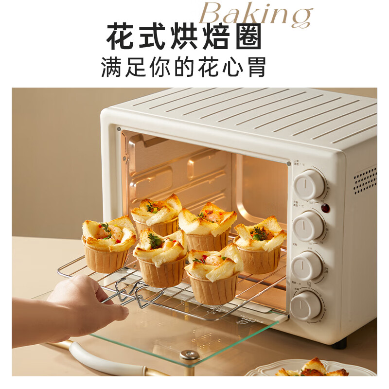 小熊DKX-J20D1电烤箱图片