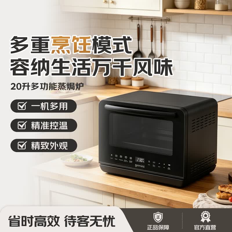 gemini-GSO20电烤箱图片