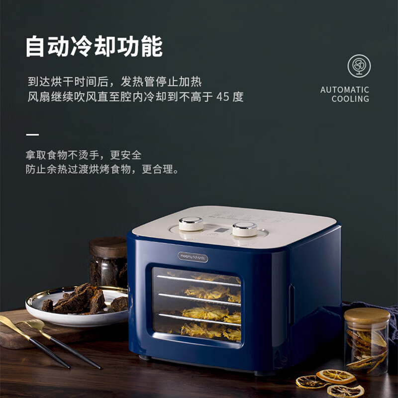 摩飞MR6255电烤箱图片