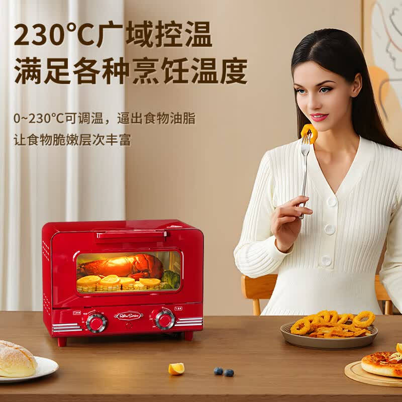 诺思得其RTOV100电烤箱图片