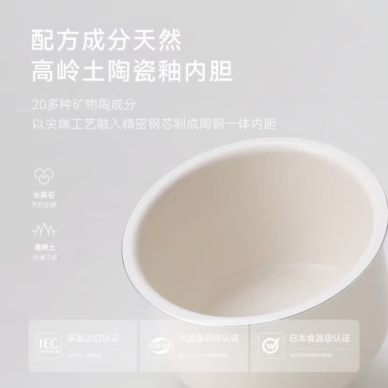 olayks-YBW2001B电压力锅图片