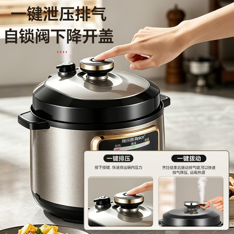 雅乐思YBD60-100D电压力锅图片