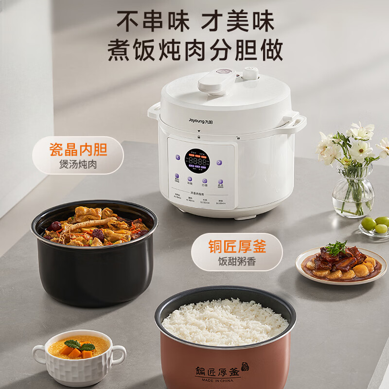 九阳Y-50C10电压力锅图片