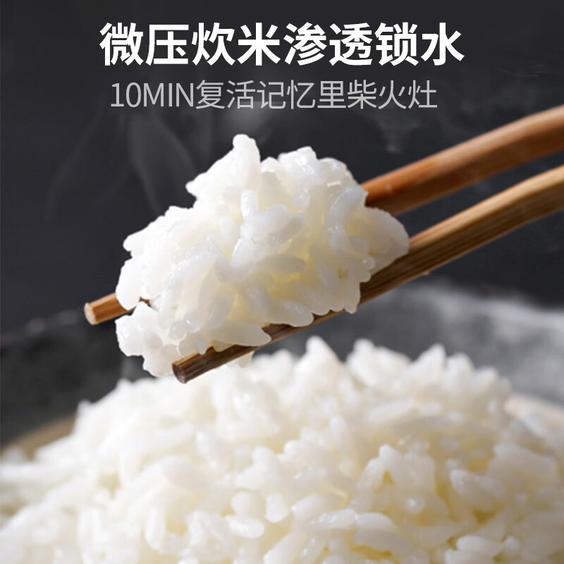大宇DY-YLG07-DT电压力锅图片