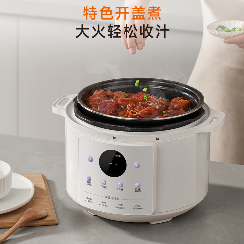 九阳Y-50C10电压力锅图片