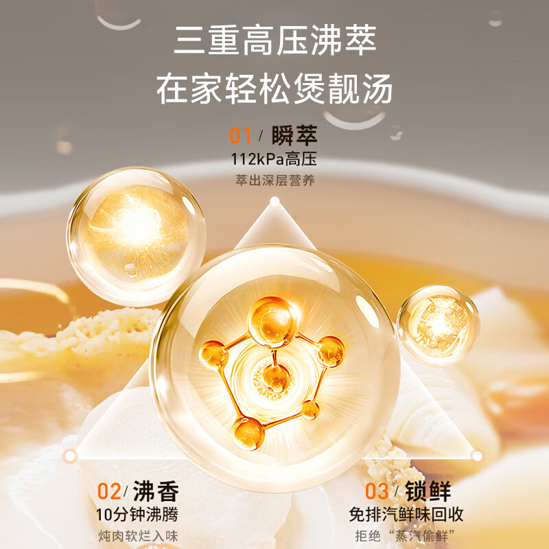 九阳Y-50IHZ6电压力锅图片