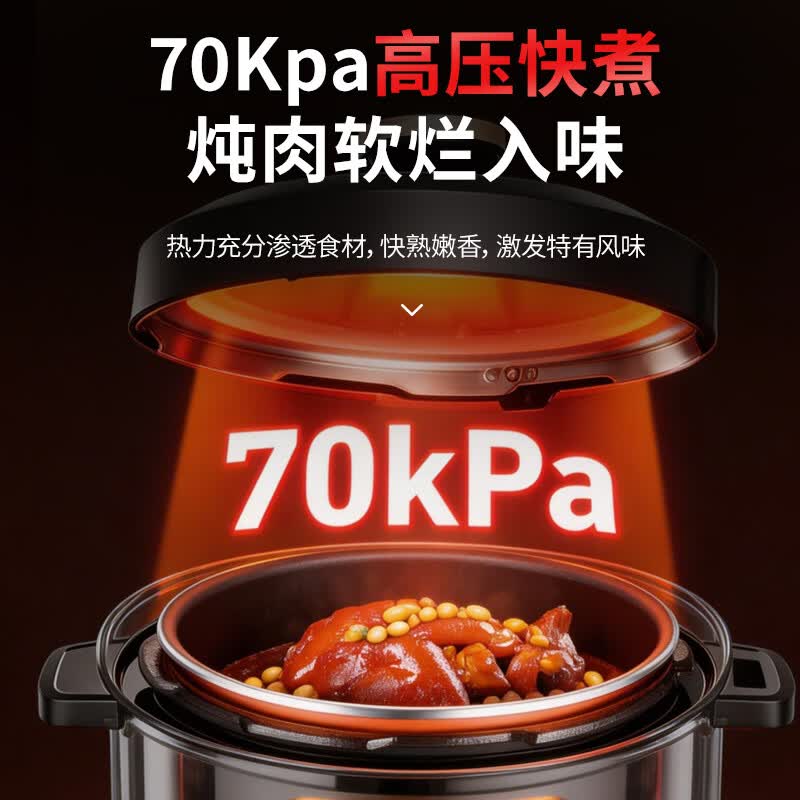 雅乐思YBD60-100D电压力锅图片