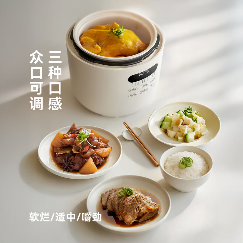 olayks-OLK-501D电压力锅图片