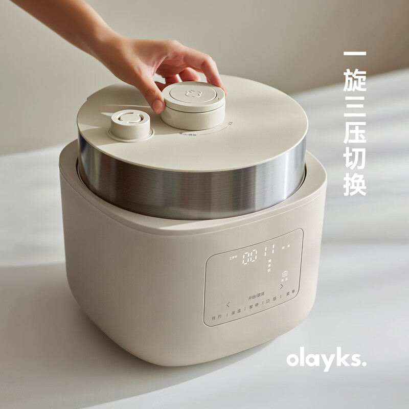 olayks-OLK-405D/OLK-405F电压力锅图片
