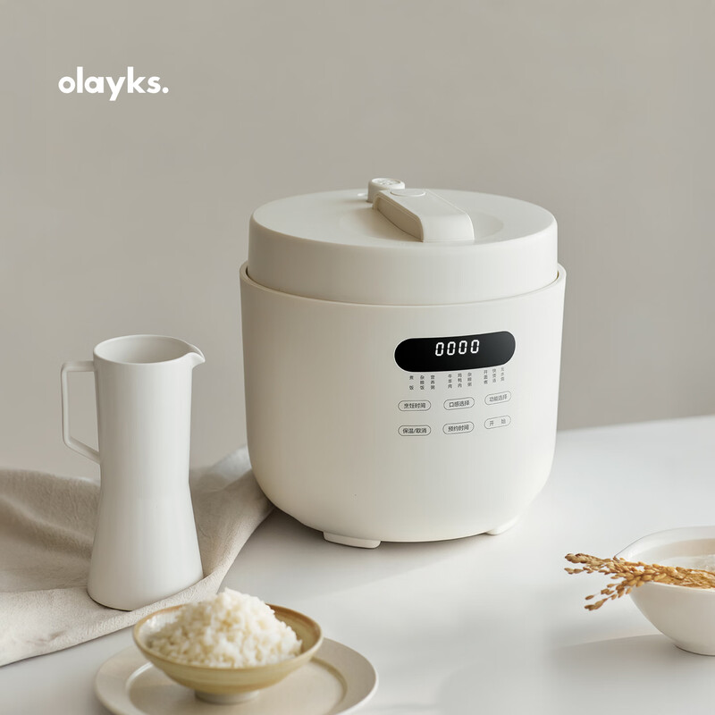 olayks-OLK-501D电压力锅图片