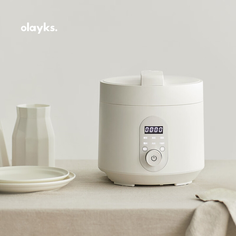 olayks-YBW3001A电压力锅图片