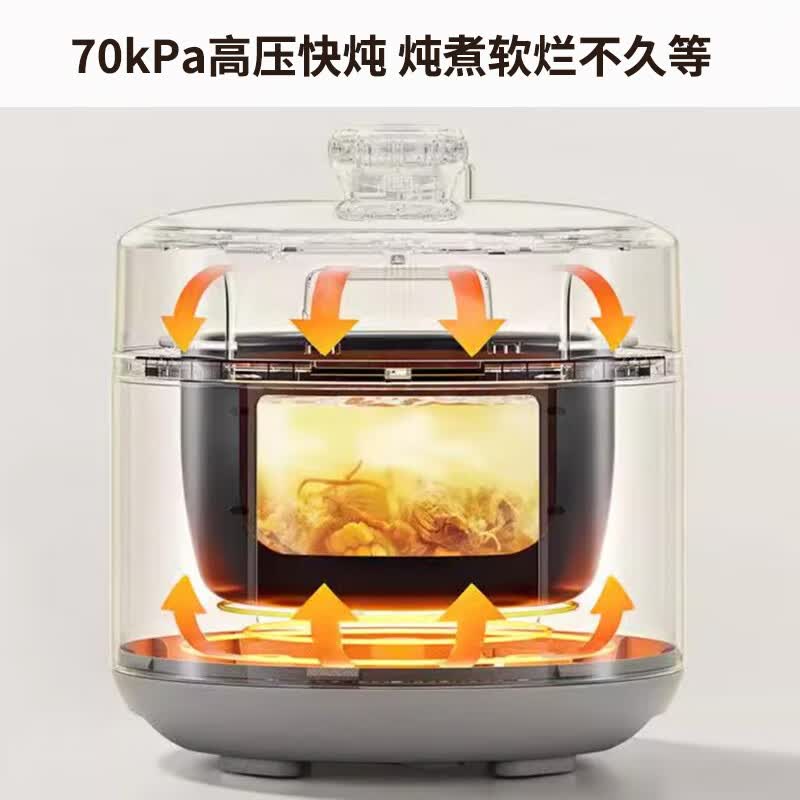 九阳Y-20H60电压力锅图片