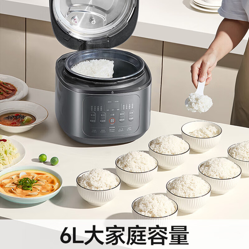 九阳Y-60H200电压力锅图片