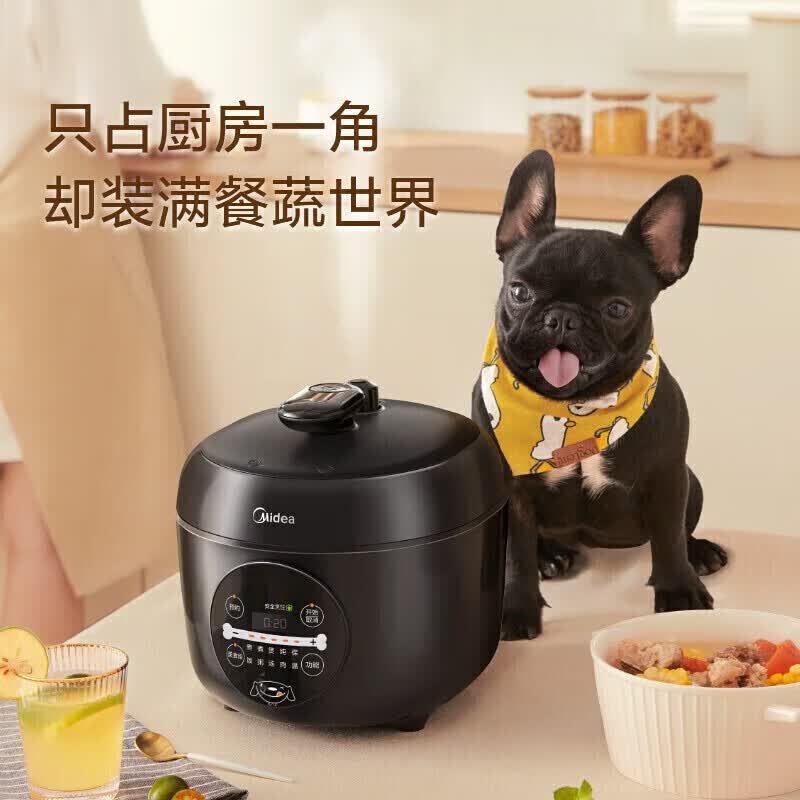 美的MY-YL25E331电压力锅图片