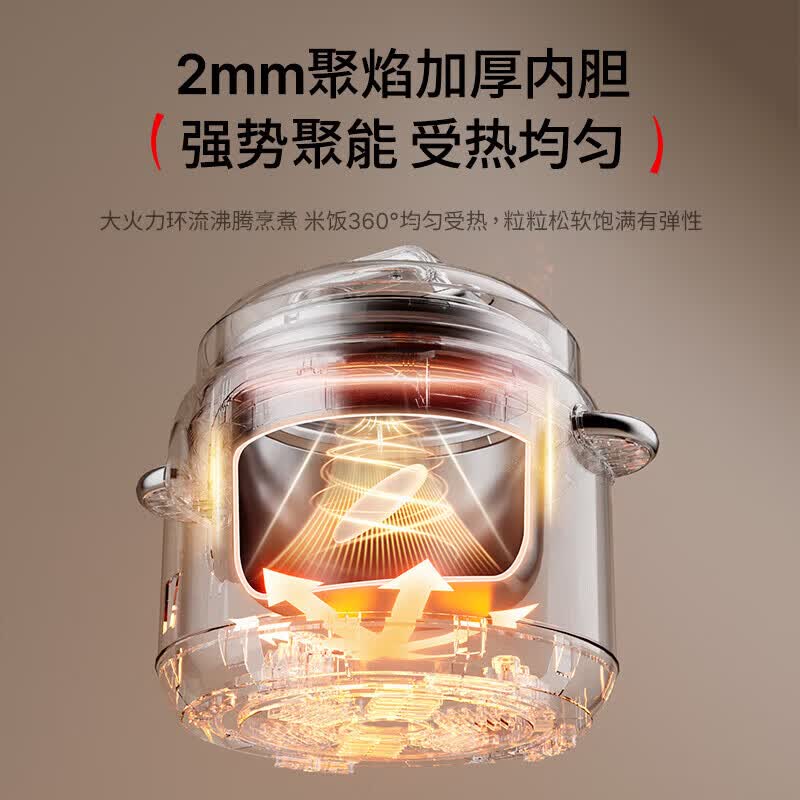 APIXINTL-YBW305B电压力锅图片