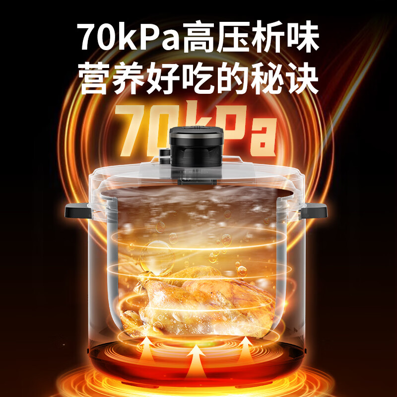 三角牌SJ40H-06YD2电压力锅图片