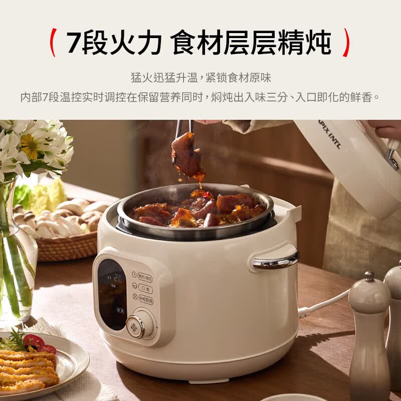 APIXINTL-YBW305B电压力锅图片