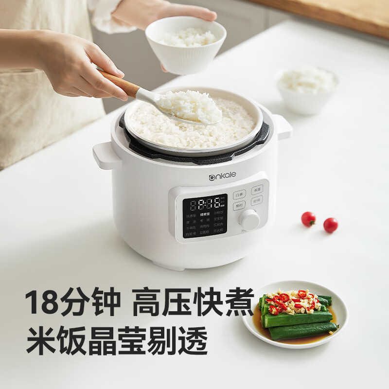ankale-AJL-30YL01电压力锅图片