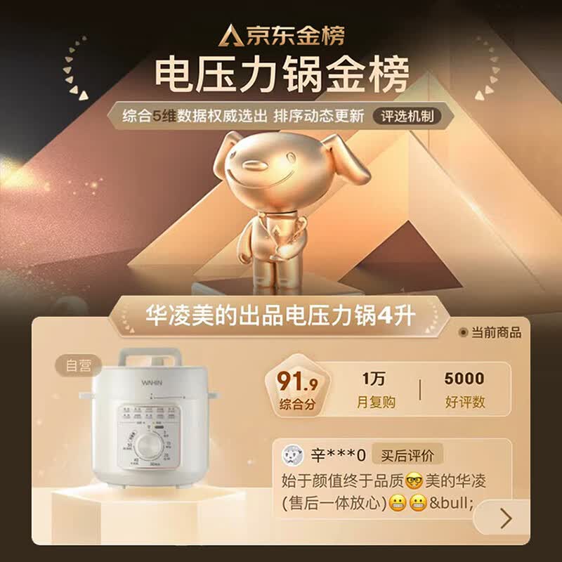 华凌WH-YL4901E电压力锅图片