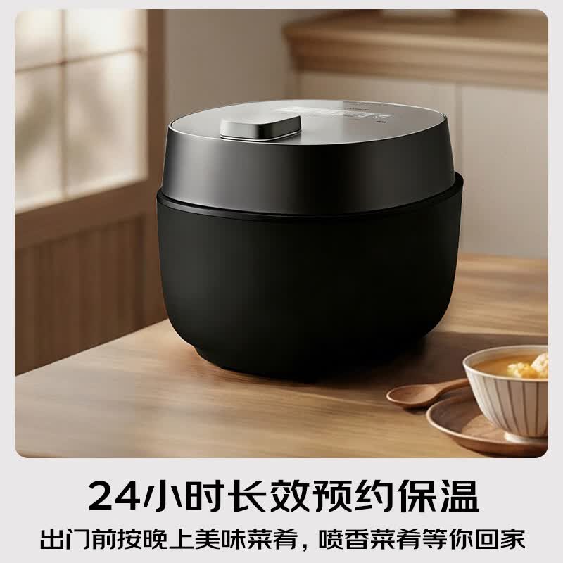 松下NF-PDS500-K电压力锅图片