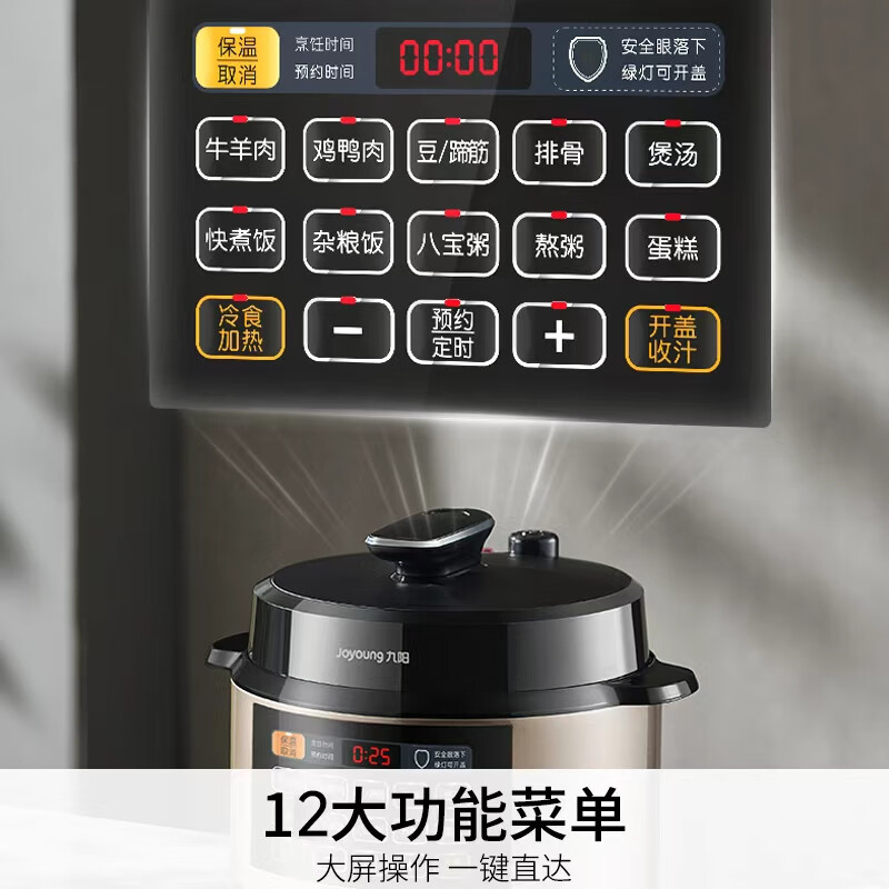 九阳Y-60C817电压力锅图片