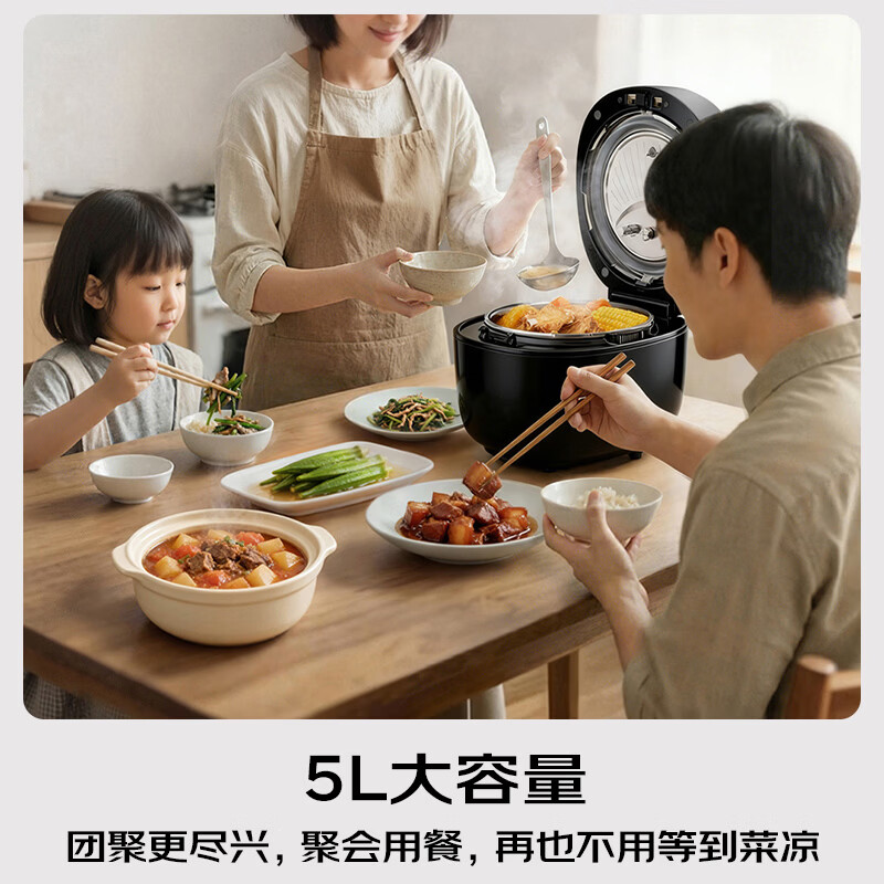 松下NF-PDS500-K电压力锅图片