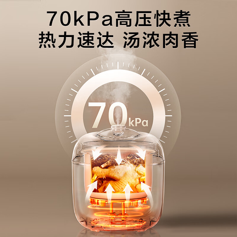 苏泊尔SY-20FC2001电压力锅图片