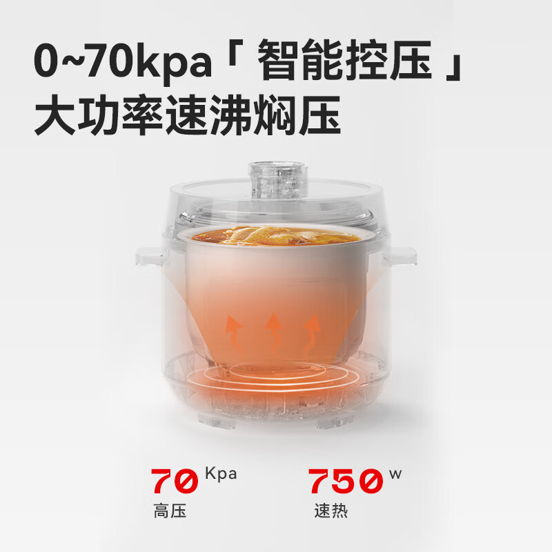 ankale-AJL-30YL01电压力锅图片