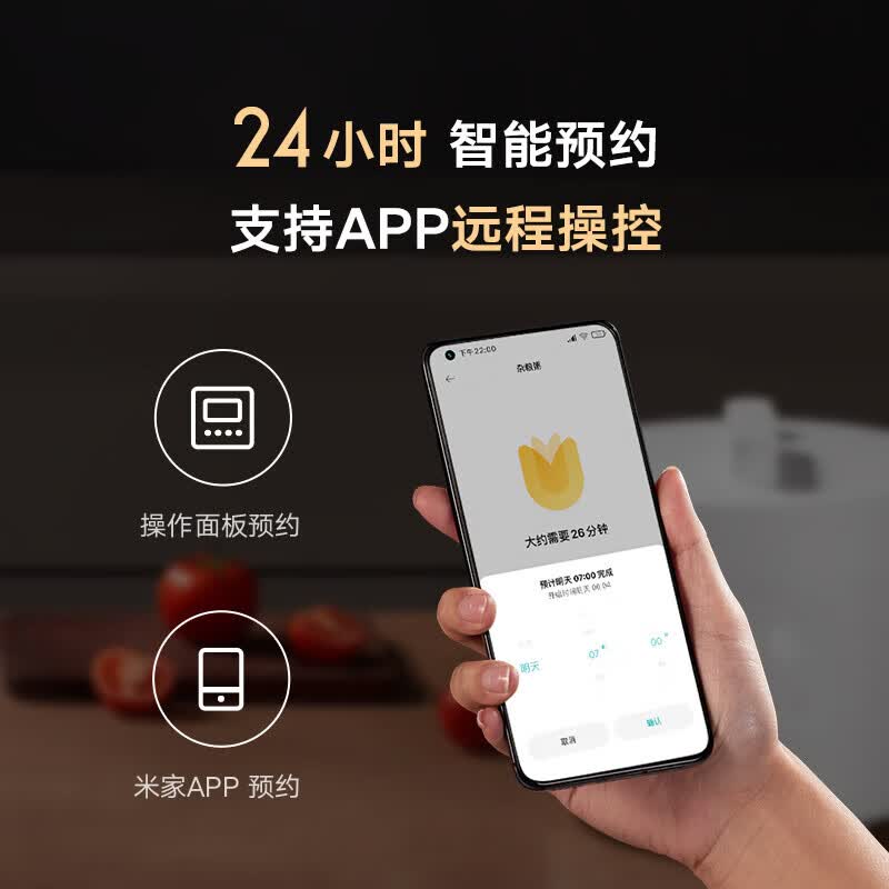 小米MYL02M电压力锅图片
