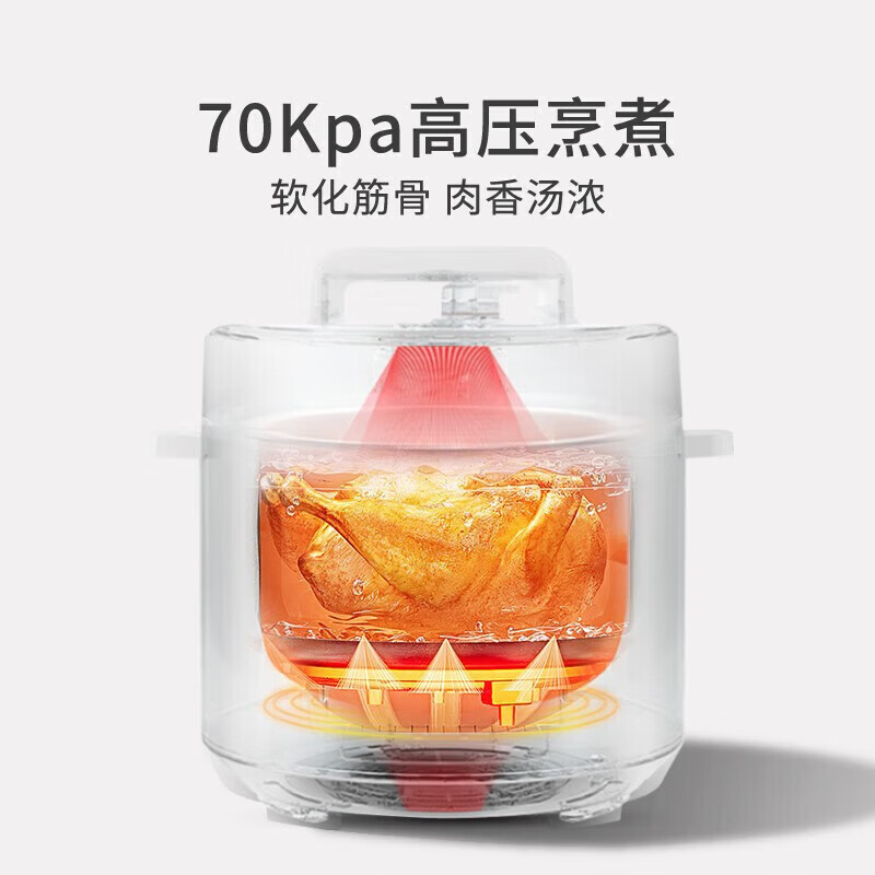 华凌WH-YL4901E电压力锅图片