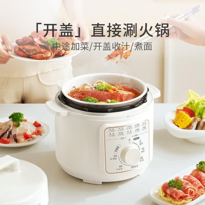华凌WH-YL4901E电压力锅图片