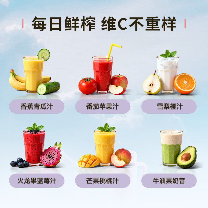 大宇DY-SM25豆浆机图片