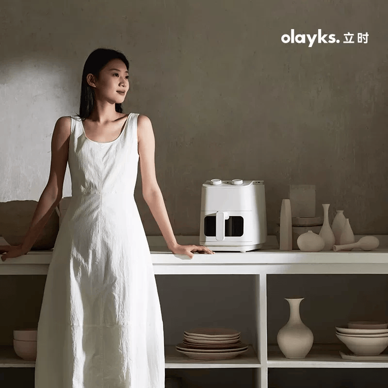 olayks立时OLK-OY05空气炸锅图片