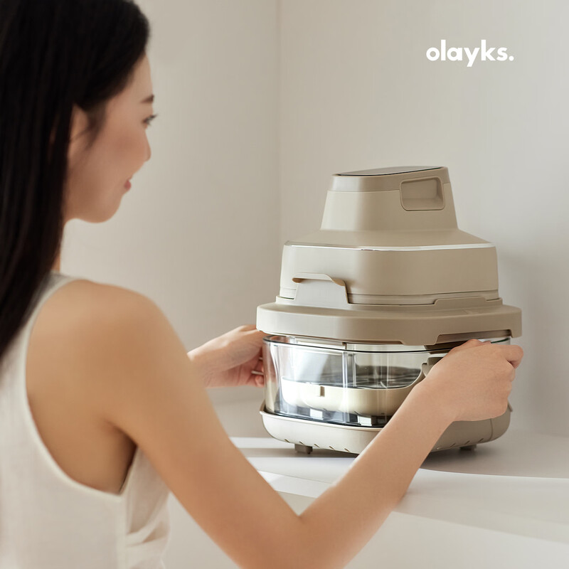 olayks立时OLK-OY08空气炸锅图片