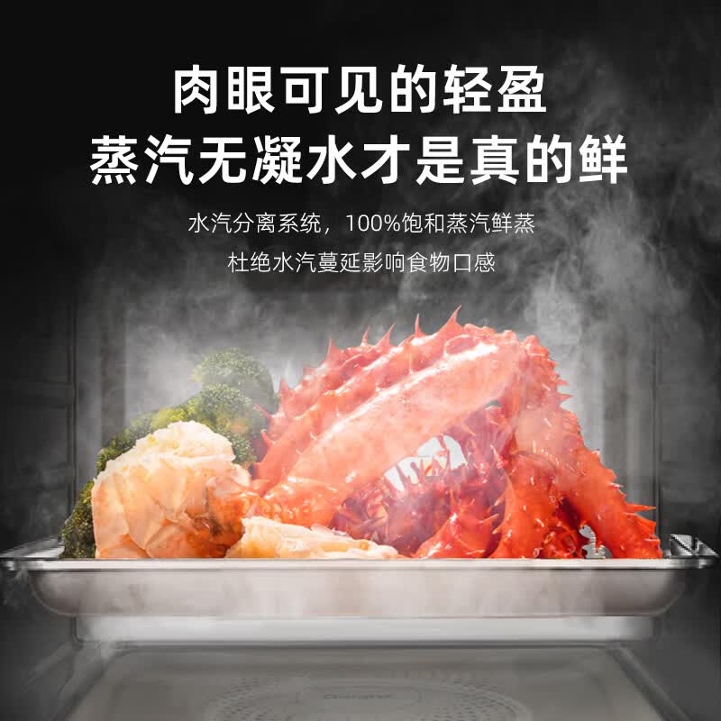 格兰仕G10Q23ESXLV-RY(W0)微波炉图片