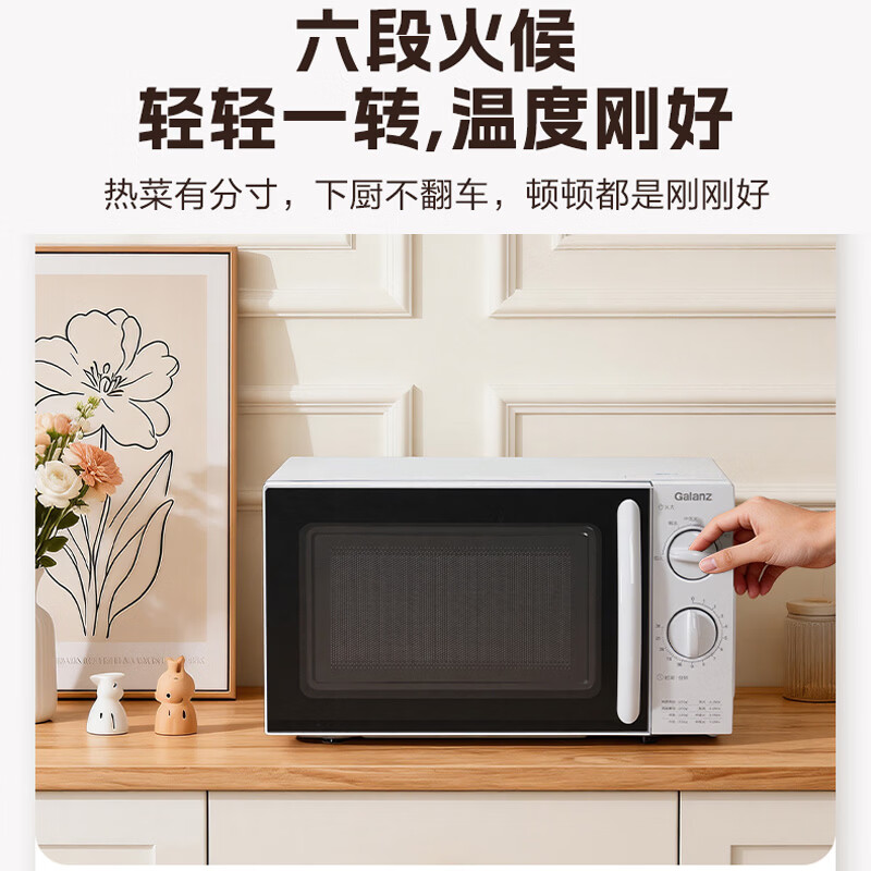 格兰仕P70D20N1L-SE(W3)微波炉图片