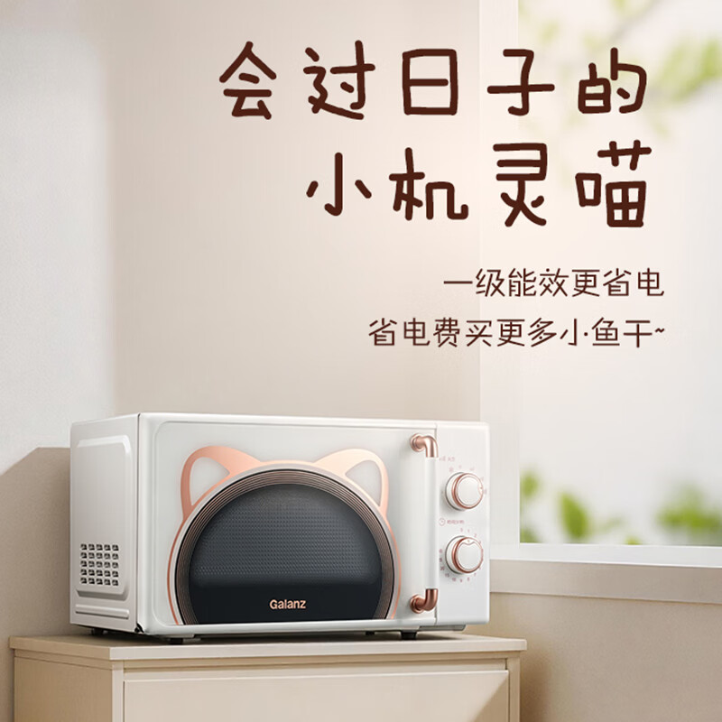 格兰仕GPV20-BG1微波炉图片