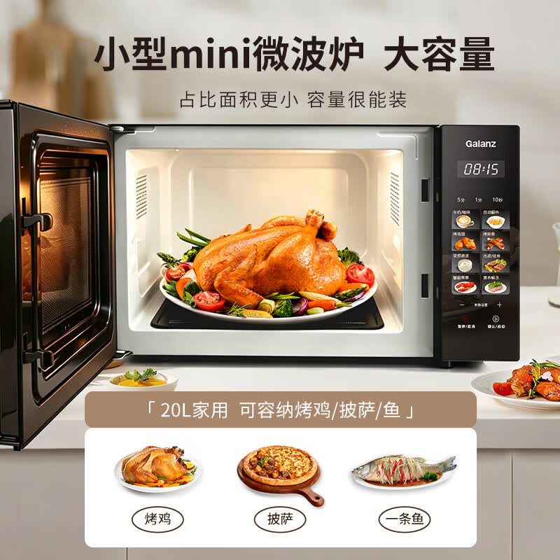 格兰仕DGB0微波炉图片
