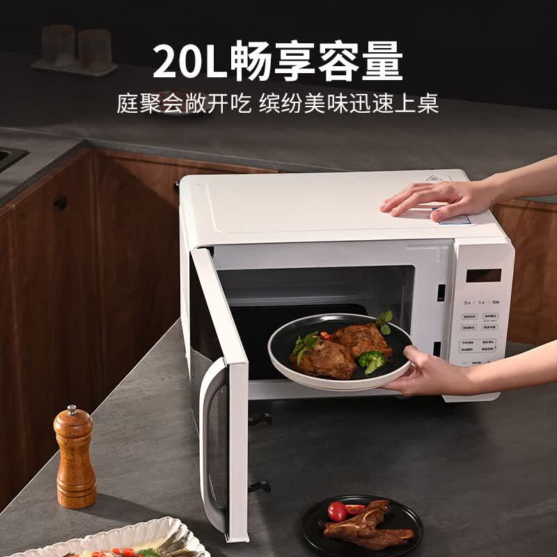 海尔HW-GE20T1W微波炉图片