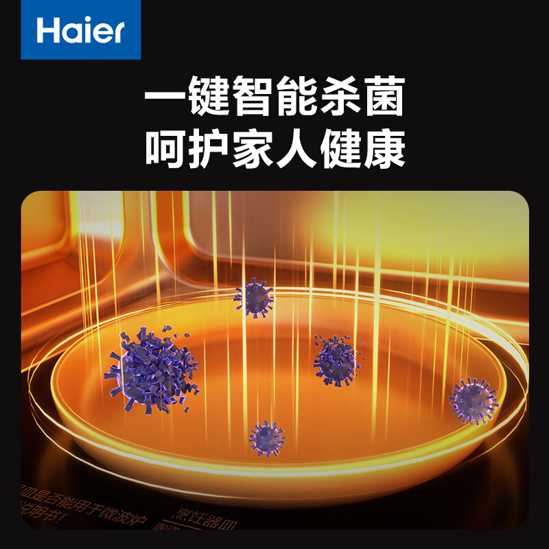 海尔HW-GE20J2B微波炉图片