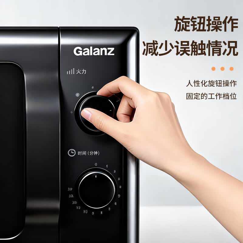 格兰仕ZTB-S20微波炉图片