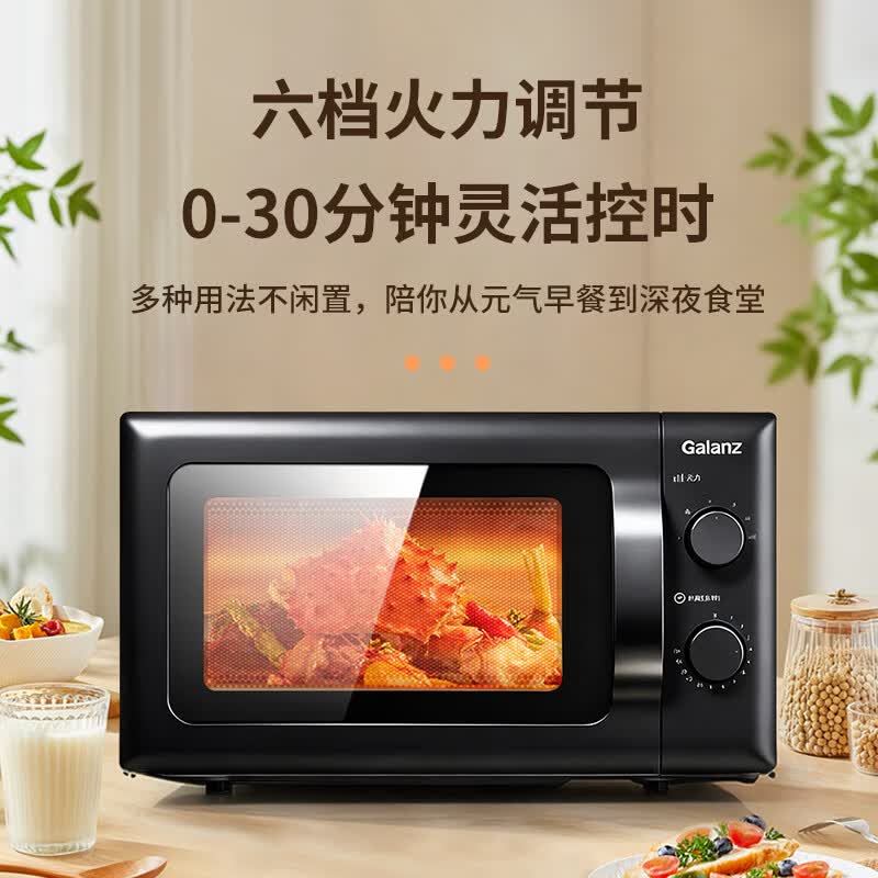 格兰仕ZTB-S20微波炉图片