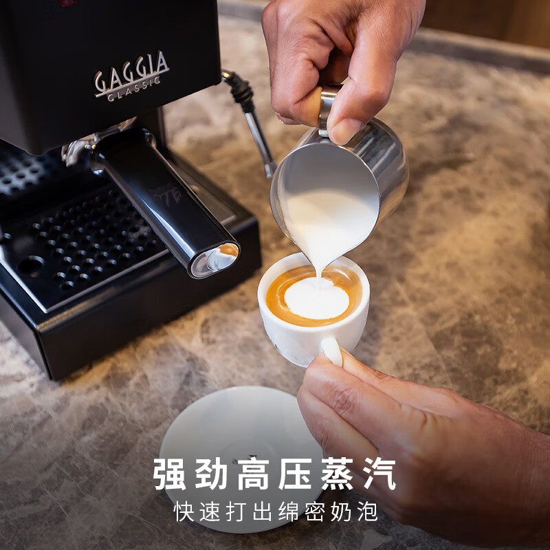 Gaggia-Classic E24咖啡机图片
