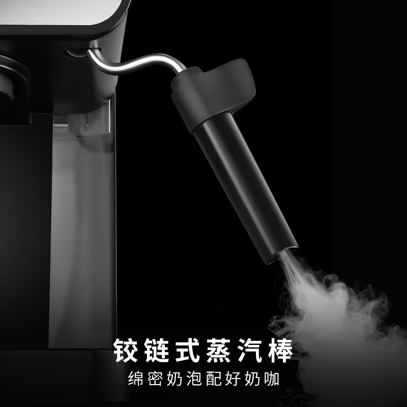 Gaggia-Espresso DeLuxe咖啡机图片