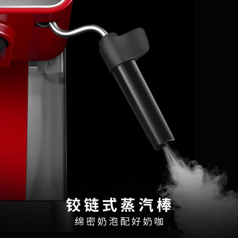 Gaggia-Espresso Evolution咖啡机图片