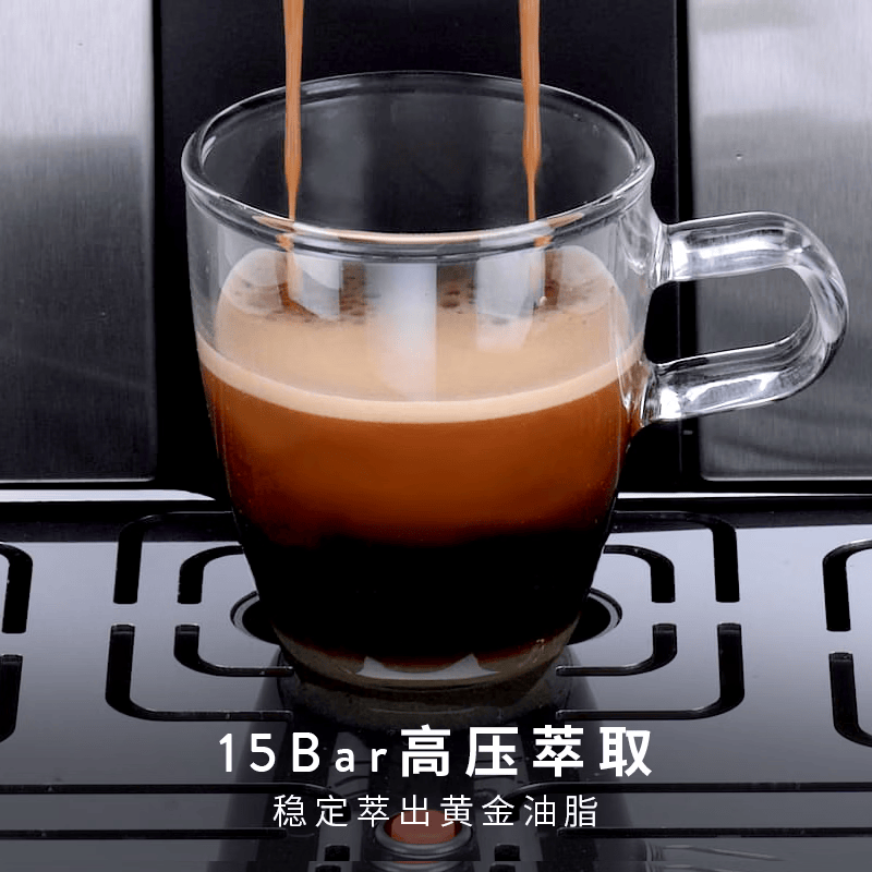 Gaggia-Brera咖啡机图片